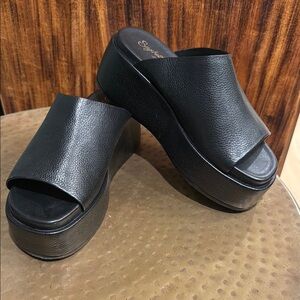 Stylish Black Platform Sandals by Seychelles